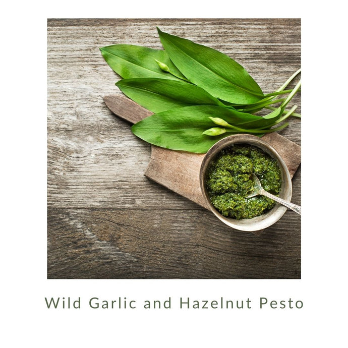 Wild Garlic and Hazelnut Pesto
