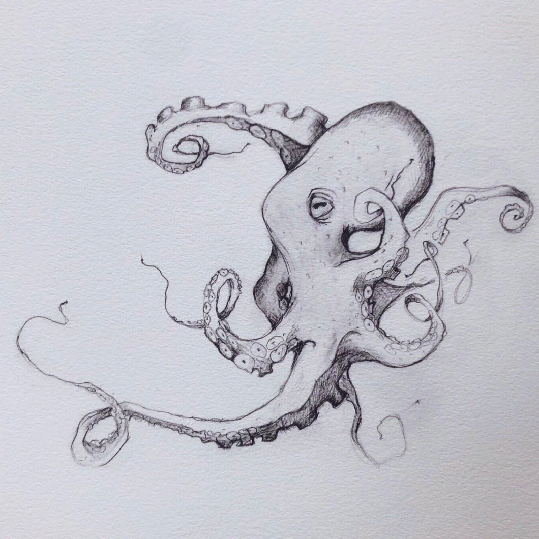 Octopus by Sara McCarter A4