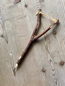Twig Catapult Pencil