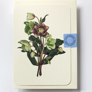 Posy of Hellebore Greeting Card