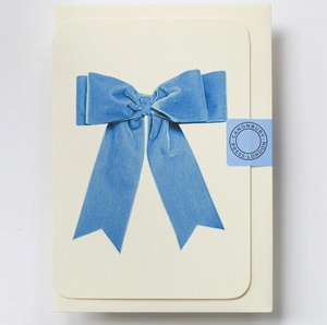 Baby Blue Velvet Bow Greeting Card