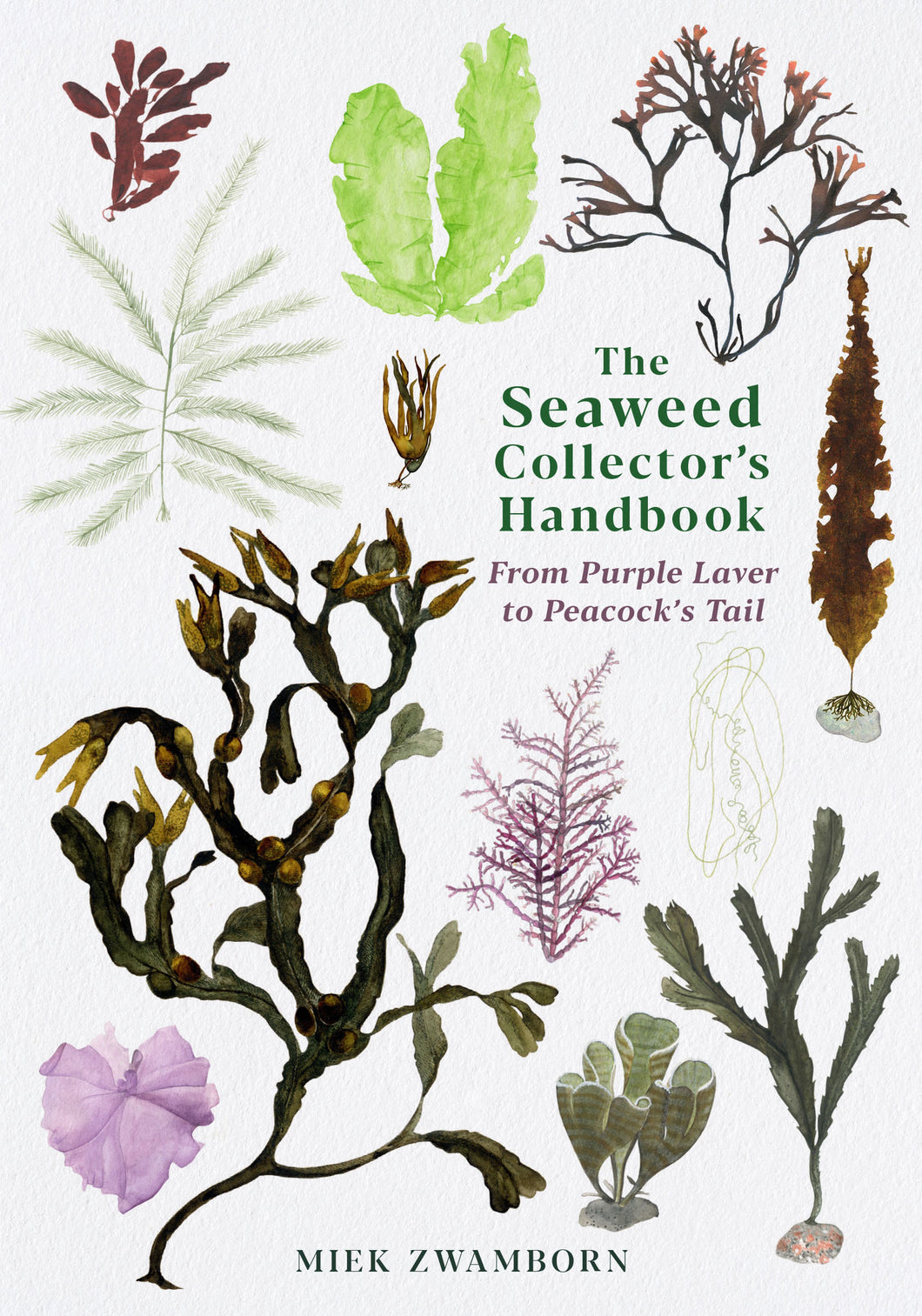 The Seaweed Collector's Handbook by Miek Zwamborn