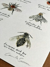 Load image into Gallery viewer, Bees Art Print
