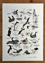 Load image into Gallery viewer, Seabirds Art Print
